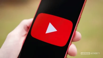 YouTube görüntülenme sayısı