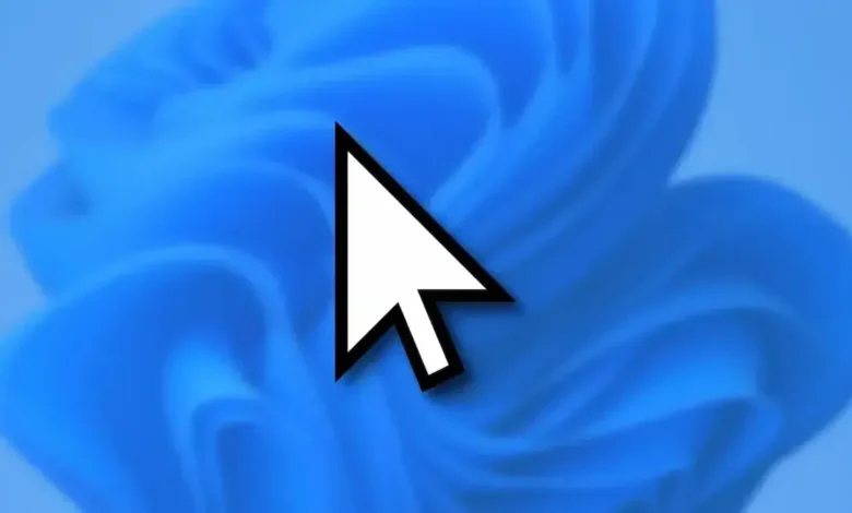 Windows 11 KB5120998