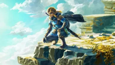Tears of the Kingdom Online