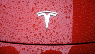Tesla geri çağırma
