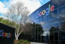 Google AI Professional Sertifikası