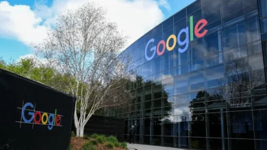 Google AI Professional Sertifikası