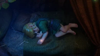 Zelda Ocarina of Time Remake