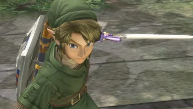 The Legend of Zelda Twilight Princess Switch 2