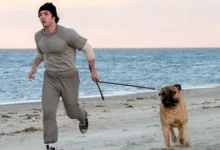 I Play Rocky