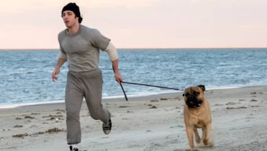 I Play Rocky