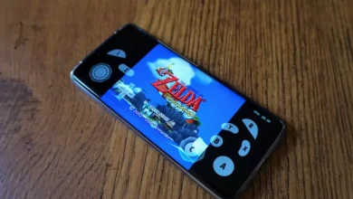 Dolphin Emulator Android NetPlay