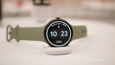 Pixel Watch pil sorunu