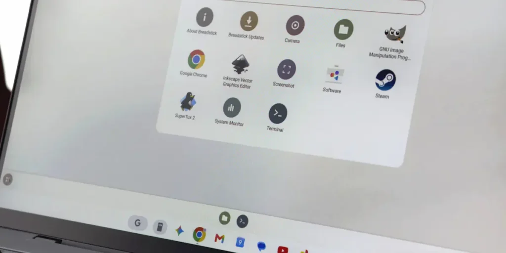 Googlebook sorunları img8
