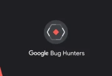 Google OSS VRP