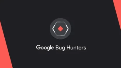Google OSS VRP