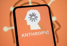 Anthropic yapay zeka çalışanları