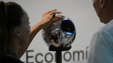 World ID for Zoom