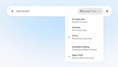 Ücretsiz Gemini kullanıcıları