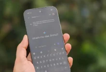 Google Gemini kısıtlaması