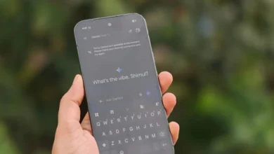 Google Gemini kısıtlaması