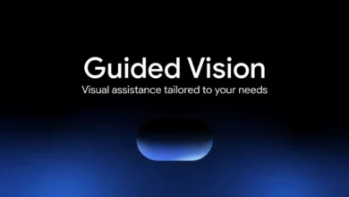 Gemini Live Guided Vision