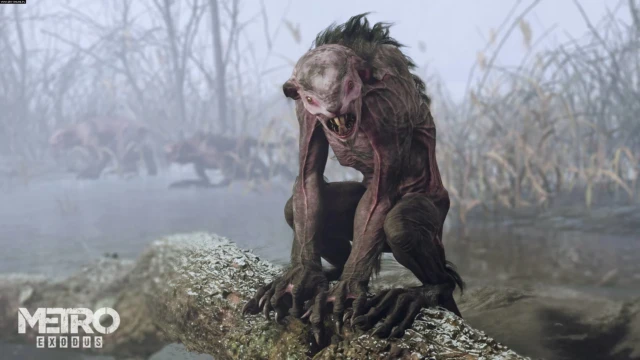 Metro Exodus img22
